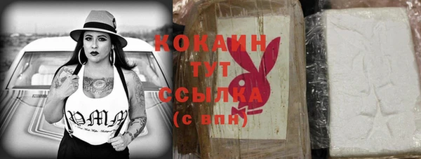 стафф Карпинск