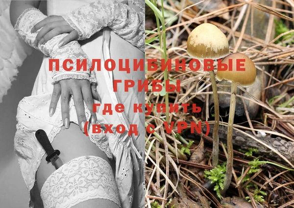 амф Кодинск
