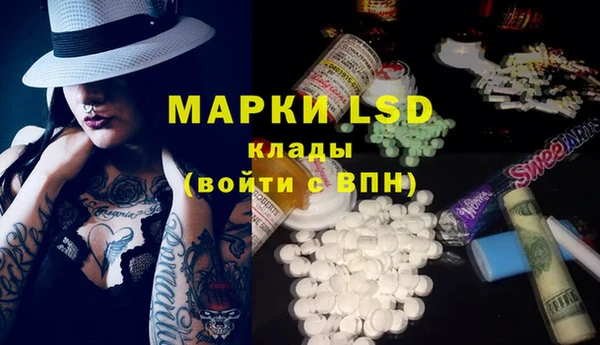 стафф Карпинск