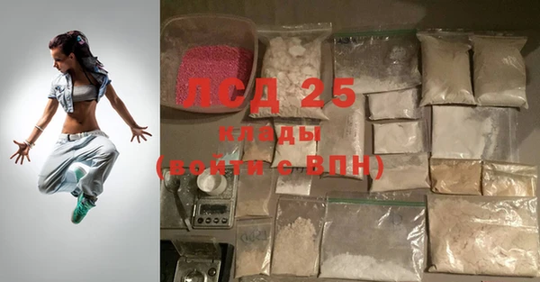 стафф Карпинск