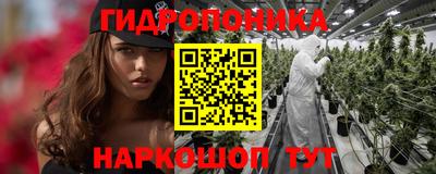 гидропоника Ирбит
