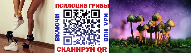 Галлюциногенные грибы мухоморы  ОМГ ОМГ сайт  Петропавловск-Камчатский 