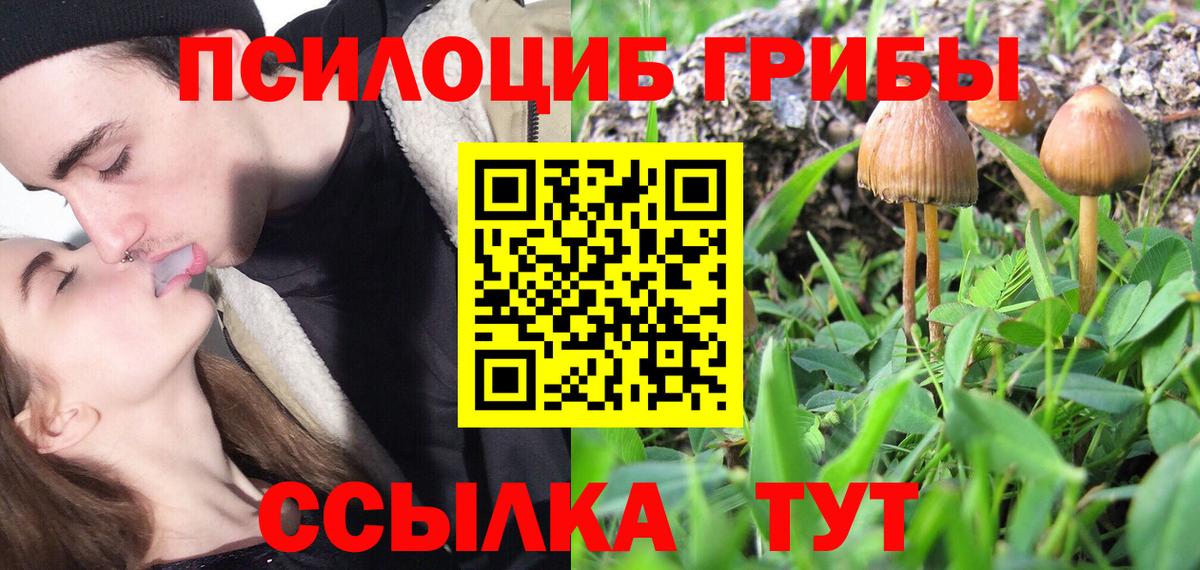Петропавловск-Камчатский  Галлюциногенные грибы GOLDEN TEACHER  Вход с VPN 