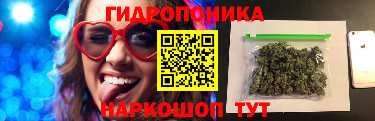 Конопля Bruce Banner Петропавловск-Камчатский